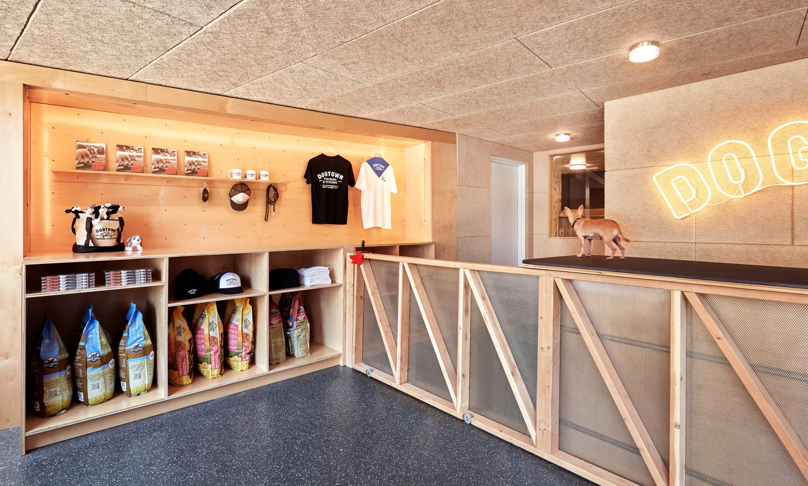 retail wall with glowing shelves of treats, shirts and bags of food, a small dog on the raised counter beside a neon sign
