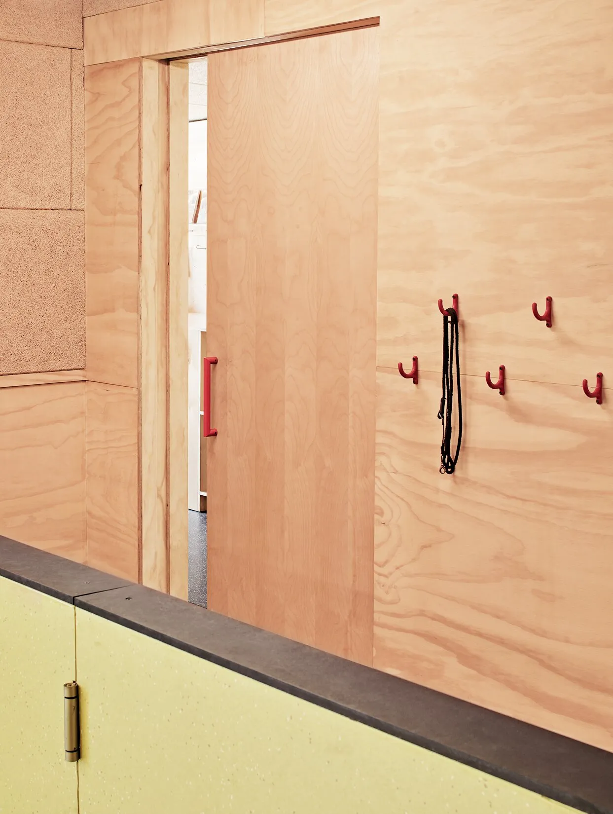 plywood sliding door with red handle and red hooks holding a leash, above a pale yellow-green panel