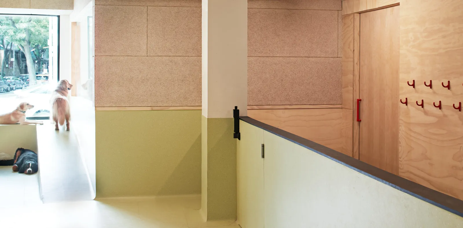 two dogs by a window above a green wall, with plywood paneling, red hooks and a sliding door at right