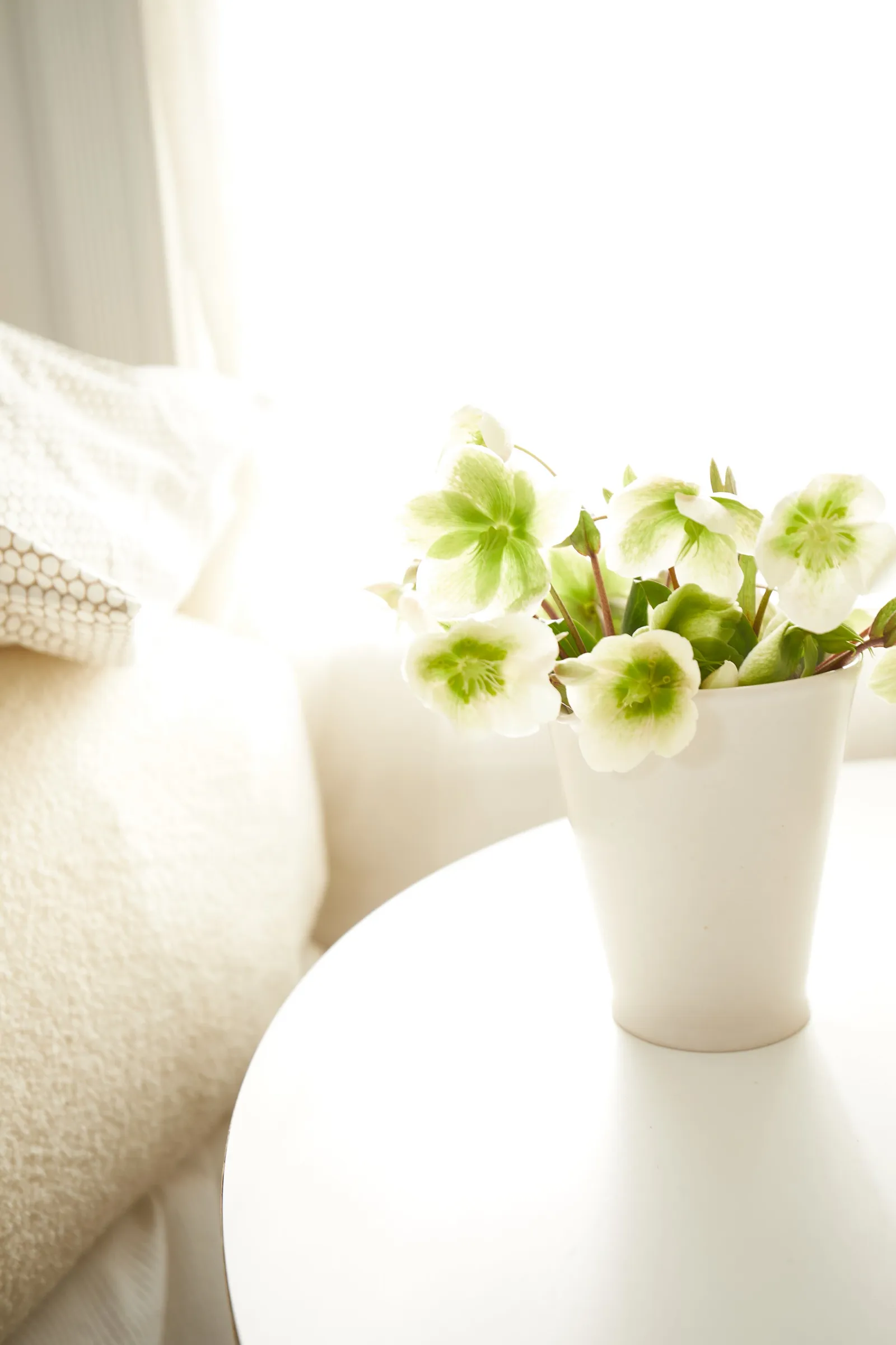 close-up of white flowers in a white vase on a side table in bright window light