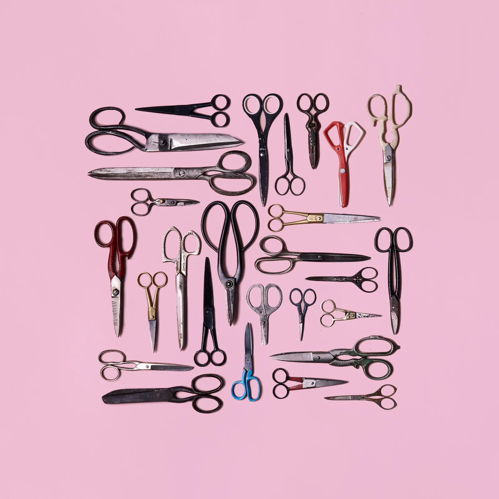 vintage scissors and shears of many sizes and handle colors arranged in a neat square on a pink background