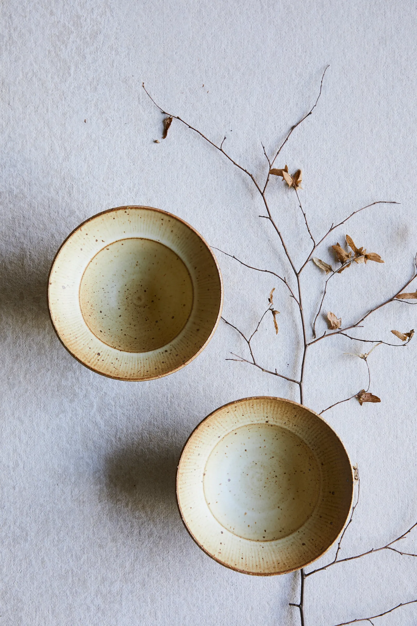 two cream speckled bowls seen from above on a pale cloth, with a bare dried branch of brown leaves crossing beside them