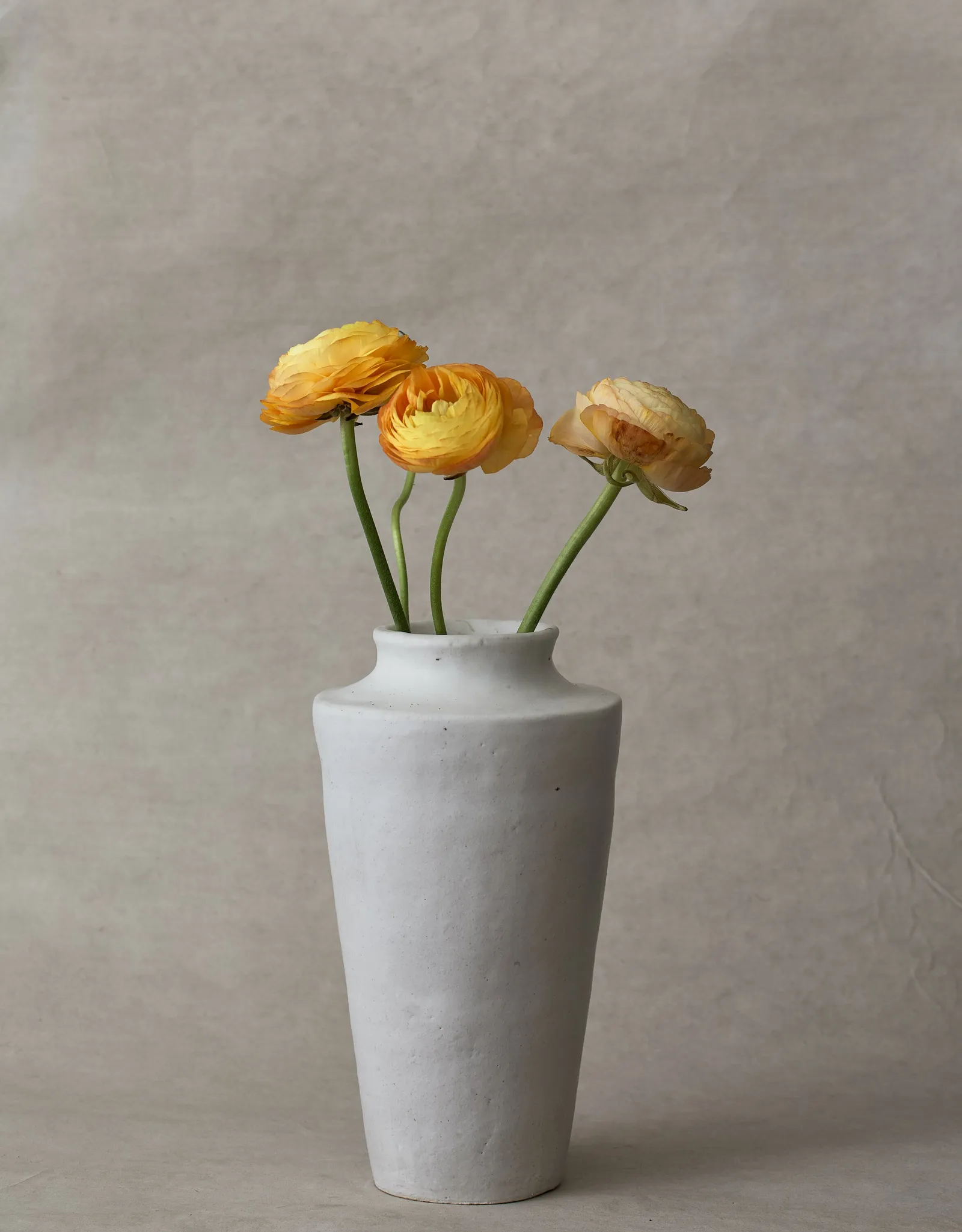 three yellow-orange ranunculus in a tall white matte vase against a soft taupe backdrop