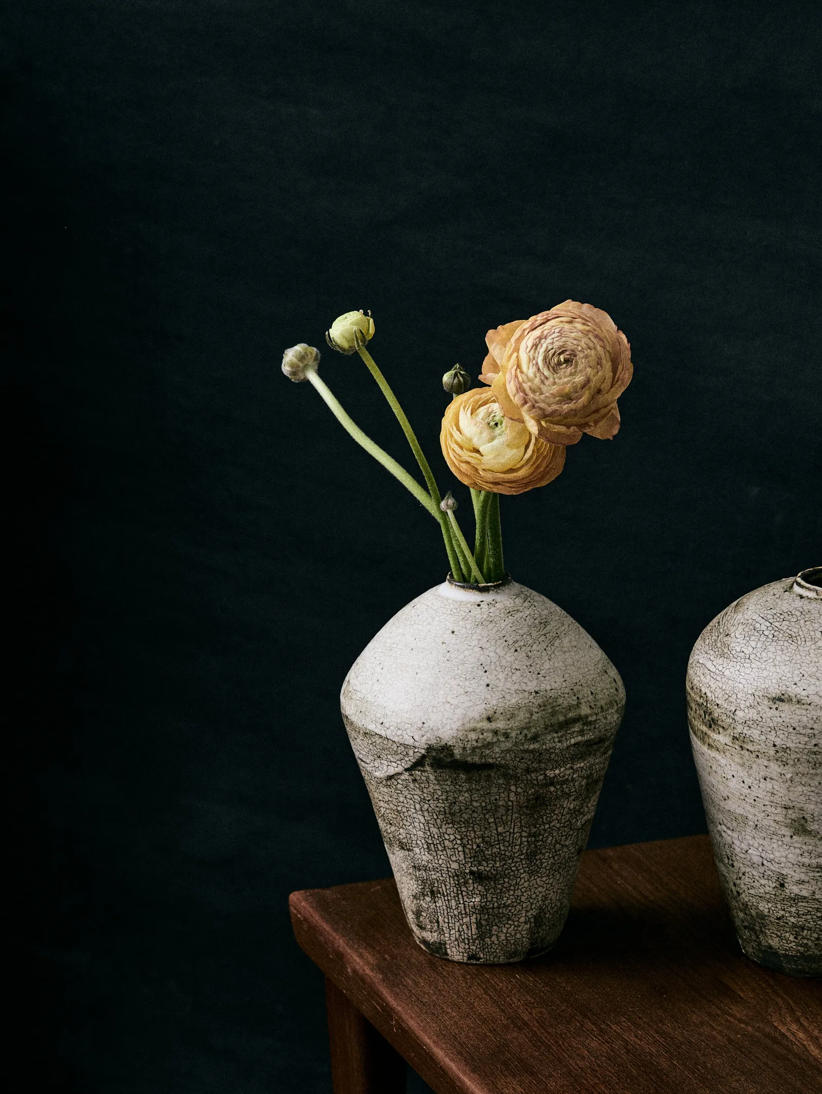 orange ranunculus in a crackled white stoneware vase on a wood stool against a dark teal wall, a second vase at the edge