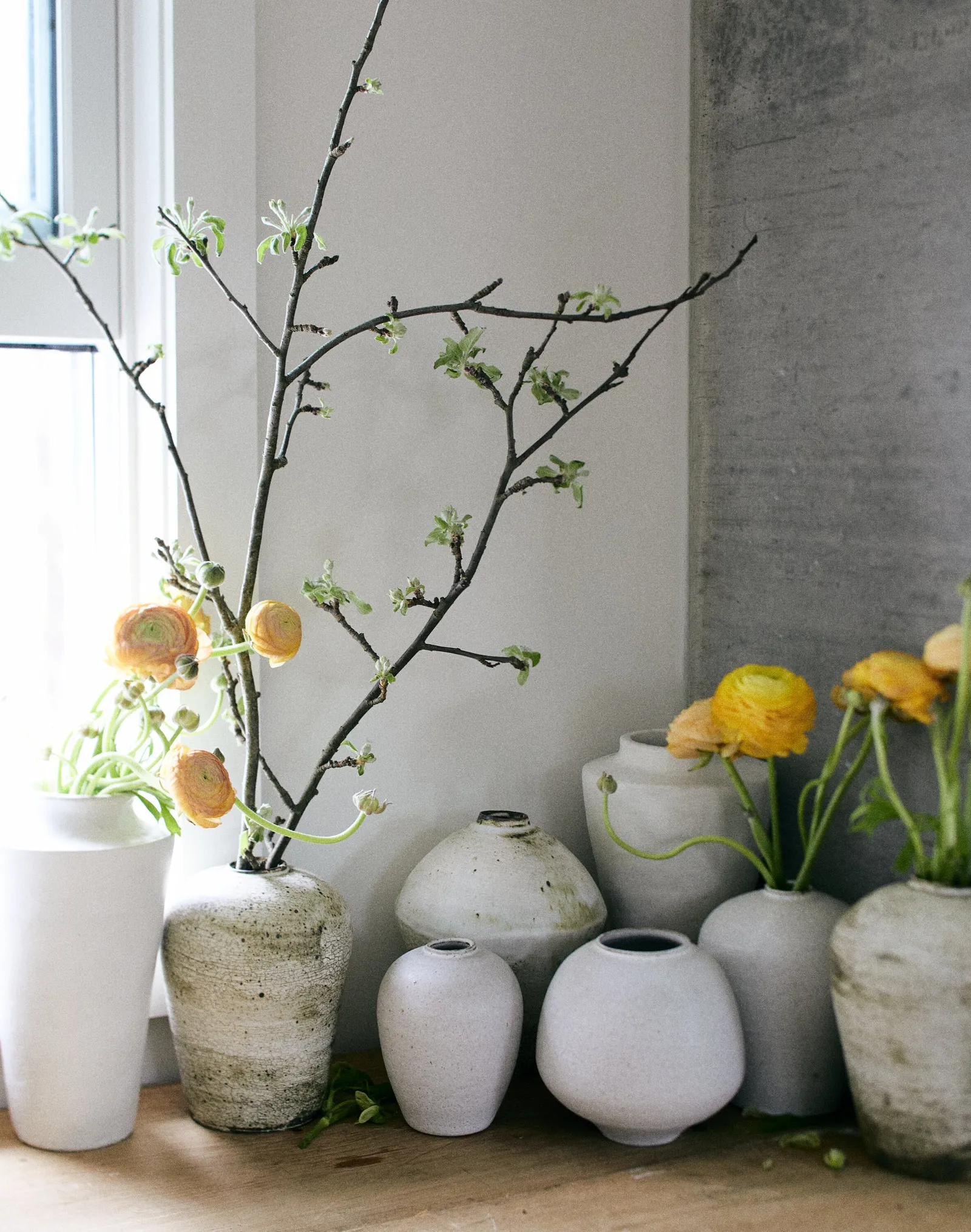corner of white and grey stone-like vases of various shapes with orange ranunculus and a budding branch, by a window and concrete wall