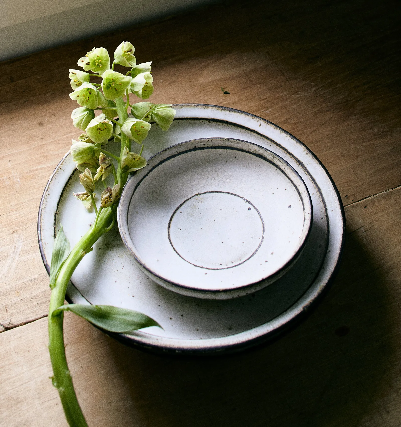 stack of white speckled ceramic plates and a small bowl on a worn wood surface, with a pale green hellebore stem draped across