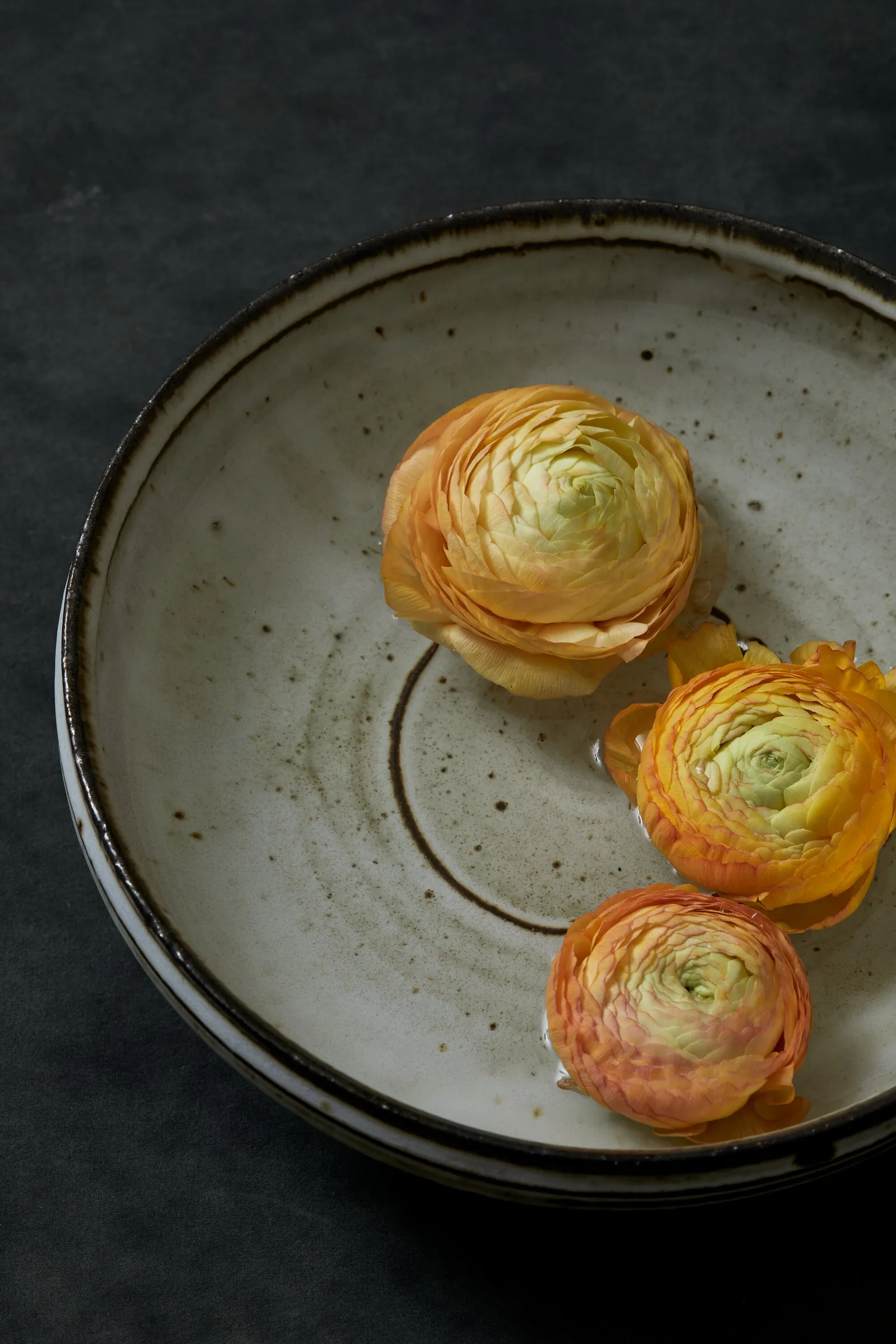 close view of a speckled glazed bowl with a dark rim holding three orange and pink ranunculus on a dark surface