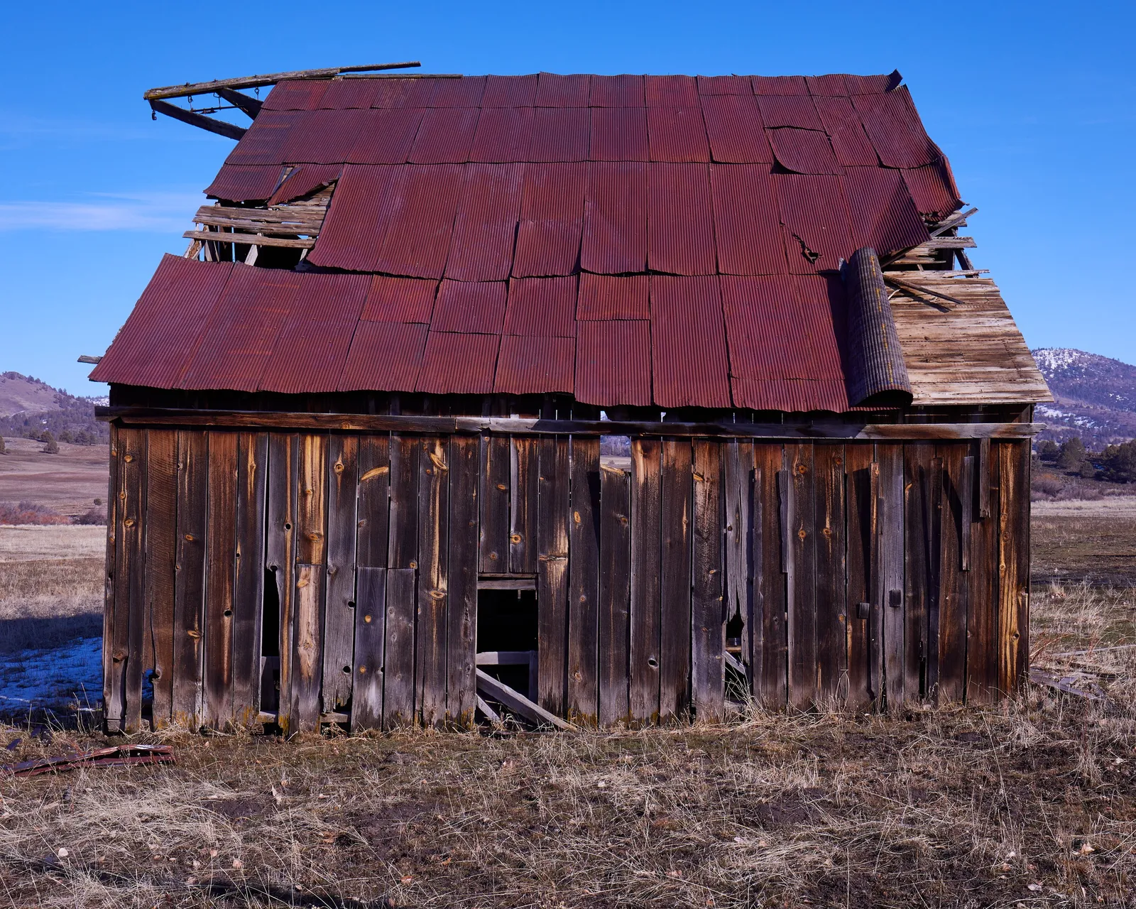 small barn with a rust-red corrugated roof that is peeling open at the top, above gray plank walls in a winter field