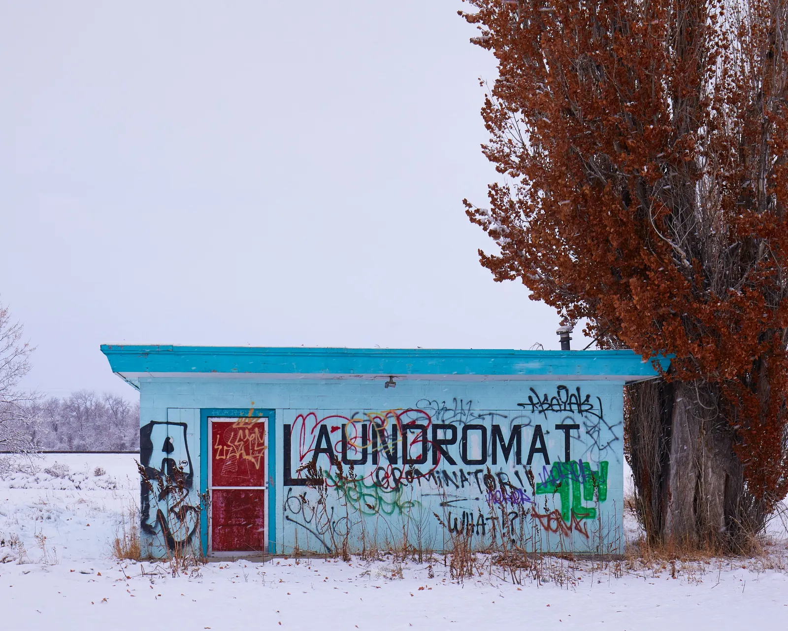 small turquoise laundromat covered in graffiti, with a red door, beside a tall rust-leaved tree in a snowy field