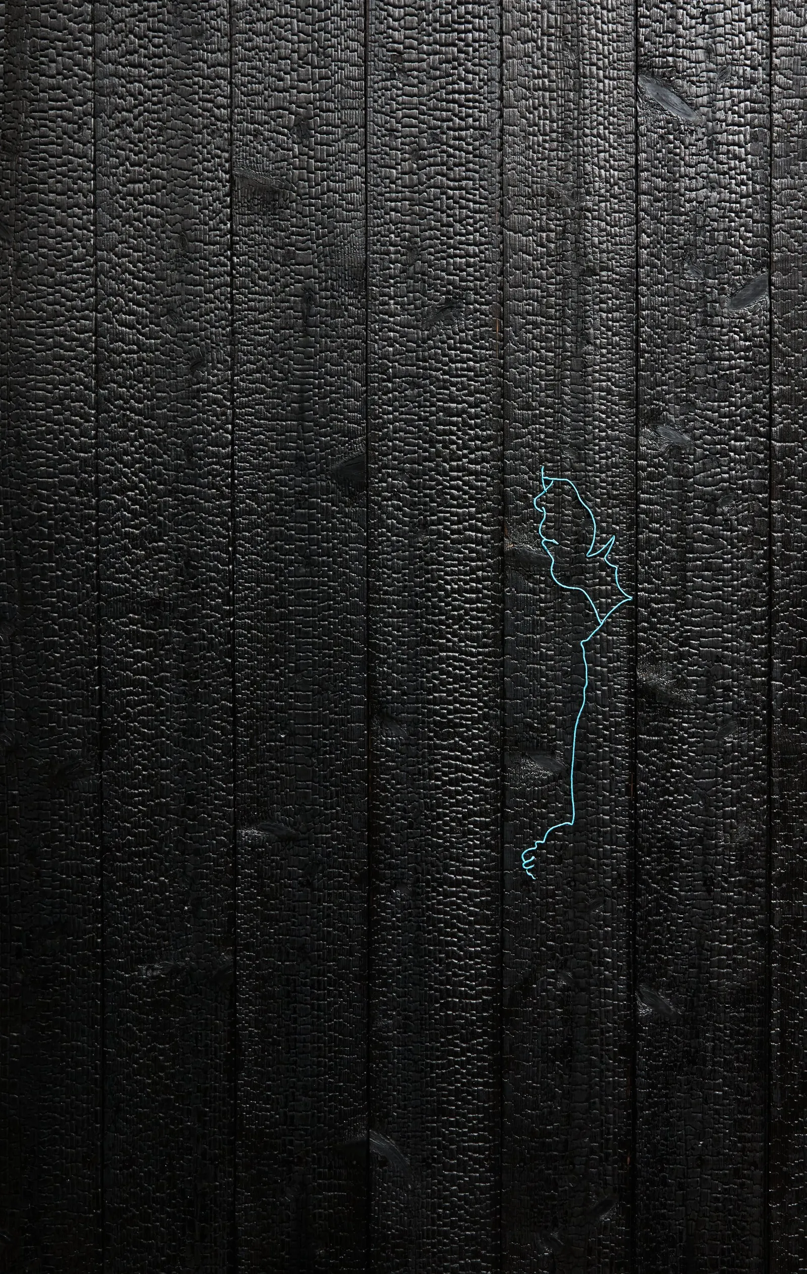 charred black wood siding with a thin turquoise outline traced across the vertical boards