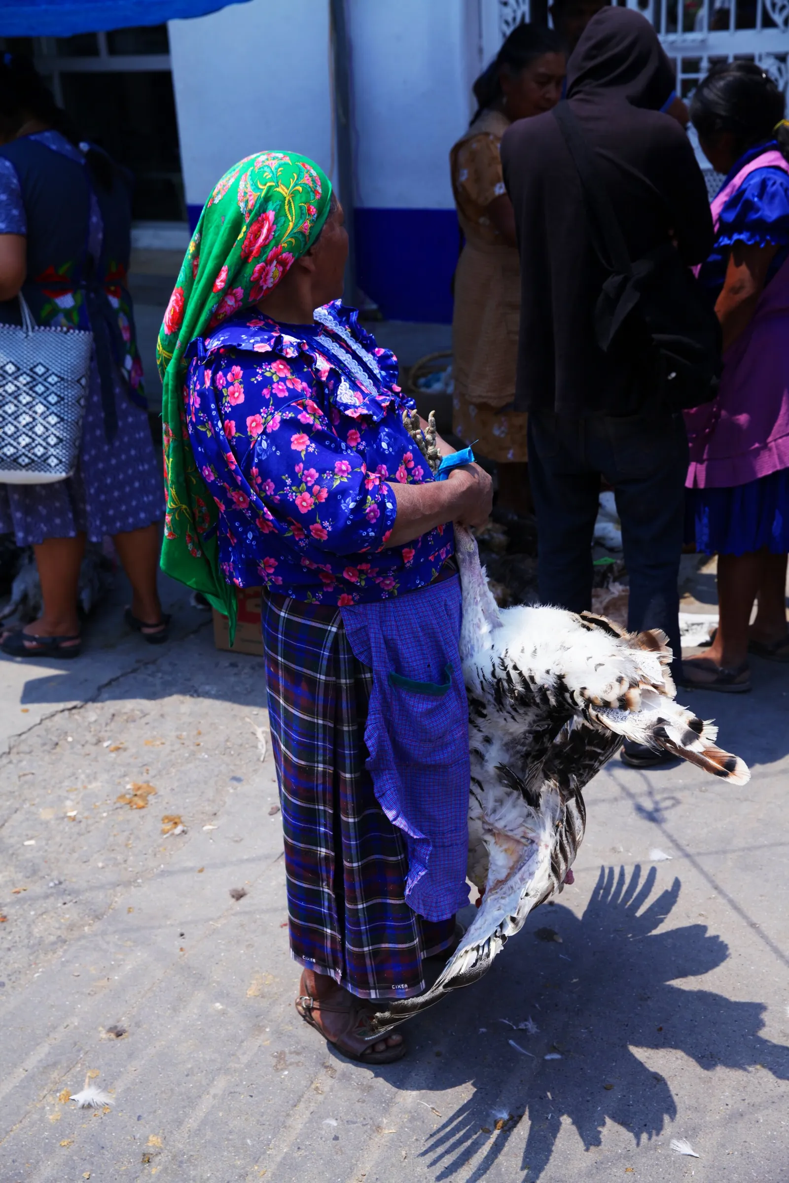 a woman in a floral blouse and green headscarf carrying a large white-and-black turkey under her arm on a sunlit street