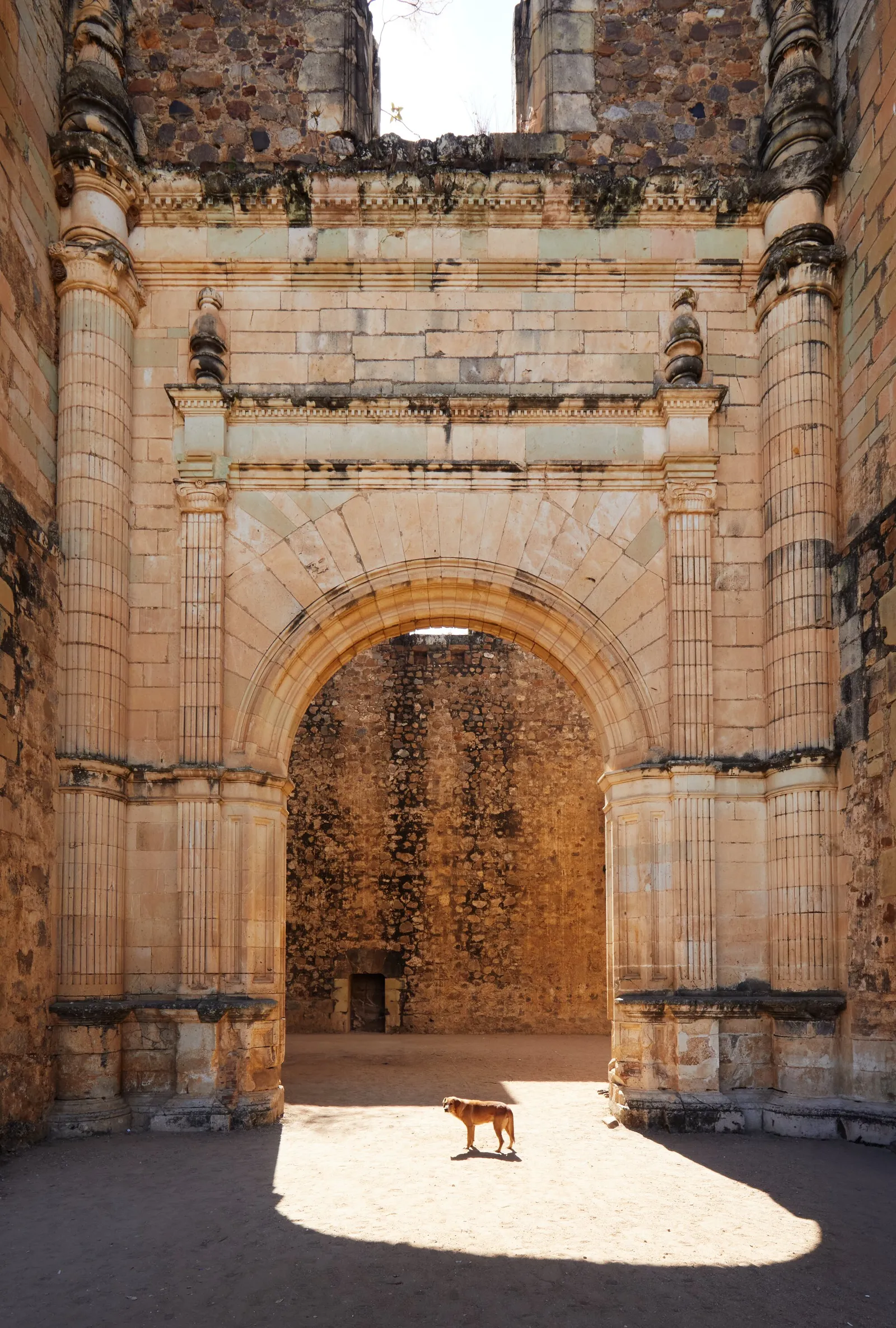 tall ruined stone archway with carved columns opening onto a rough stone wall, a small dog standing in a pool of sunlight on the ground