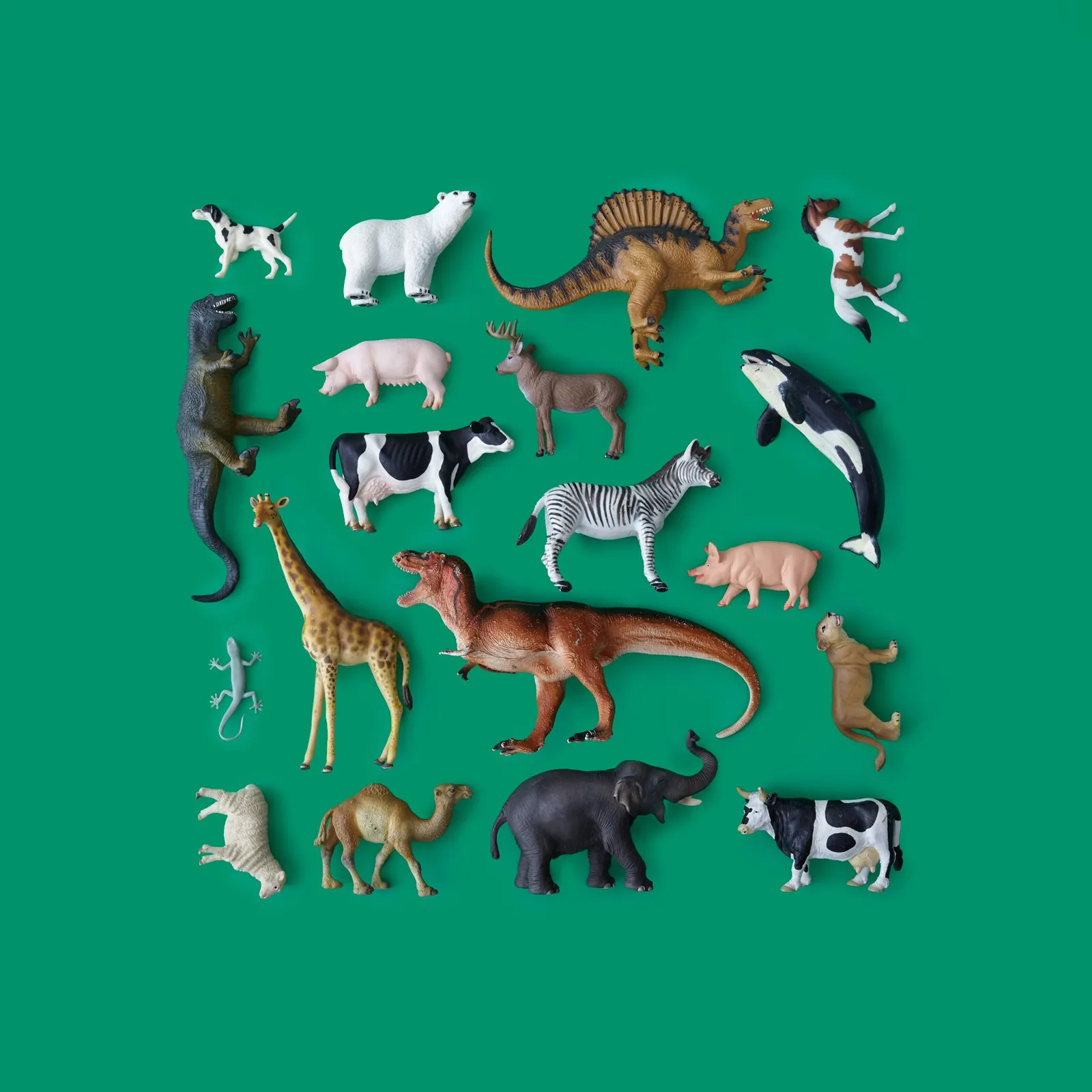 toy animals and dinosaurs, including a giraffe, elephant, zebra and orca, arranged in a loose grid on a green background